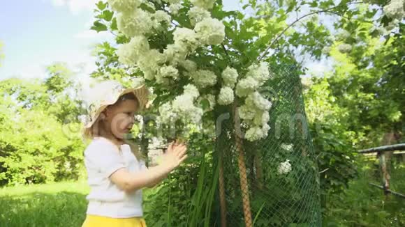 一个小女孩在阳光明媚的日子里在花园里吸入花香视频的预览图