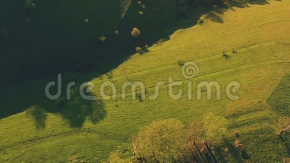 特兰西瓦尼亚绿色森林的空中景色视频的预览图