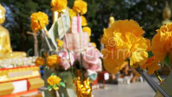芭堤雅大金佛寺的泰国捐款树泰国视频的预览图