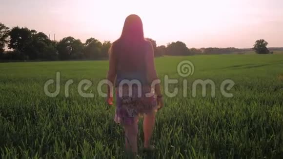 直发的年轻女孩正沿着一片绿色的田野走着夕阳西下中弹视频的预览图