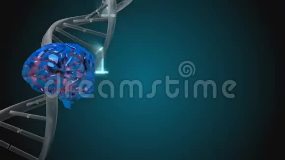 旋转DNA和被二进制码包围的大脑视频的预览图