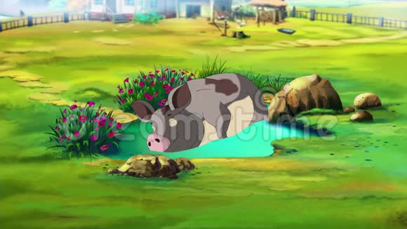 灰母猪和小黑猪靠近水坑视频的预览图