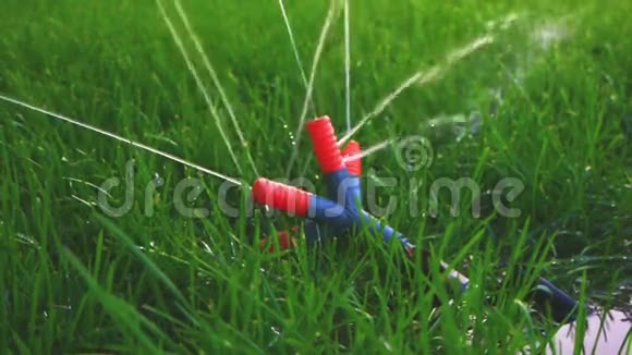 塑料花园喷头在新鲜的春天草地上工作视频的预览图