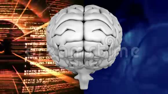 人类的大脑被划分为背景视频的预览图