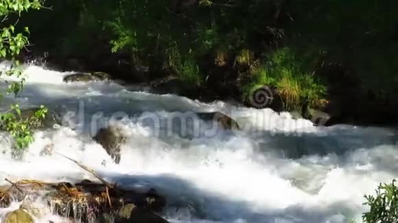 阿拉木图的山河视频的预览图