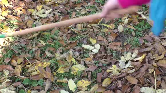 女园丁用耙子清理花园秋天视频的预览图