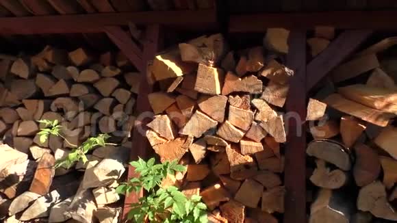 干燥的劈柴原木准备过冬视频的预览图