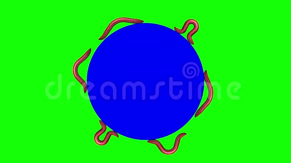 蓝色圆圈上的蠕虫循环3D动画视频的预览图