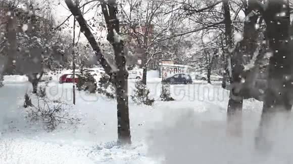 冬天的雪树和前面的烟雾污染视频的预览图