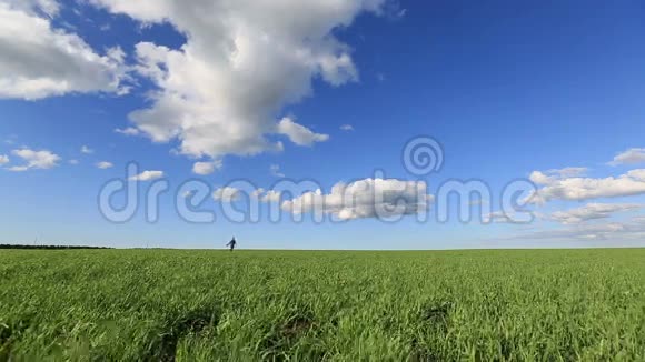 小女孩在草地上奔跑视频的预览图