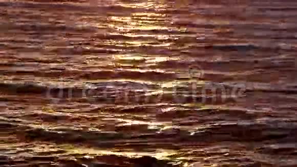日出的金色海水视频的预览图