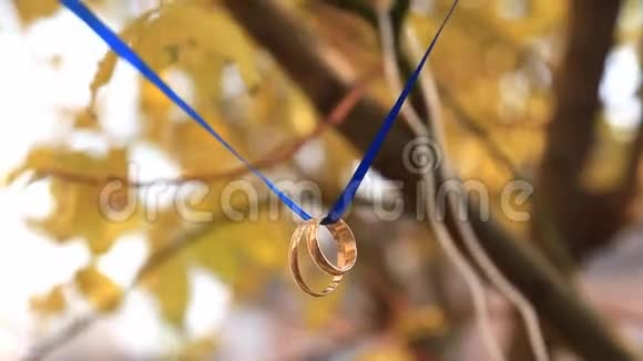 两枚结婚戒指戴在树上的蓝丝带上视频的预览图