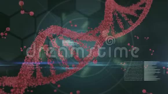 旋转DNA被数据信息包围与六边形形状视频的预览图