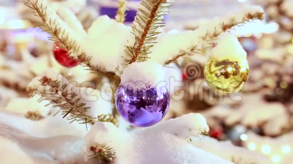 圣诞树在雪地下闪闪发光视频的预览图
