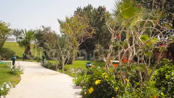 埃及花园夏季散步用的艾利视频的预览图
