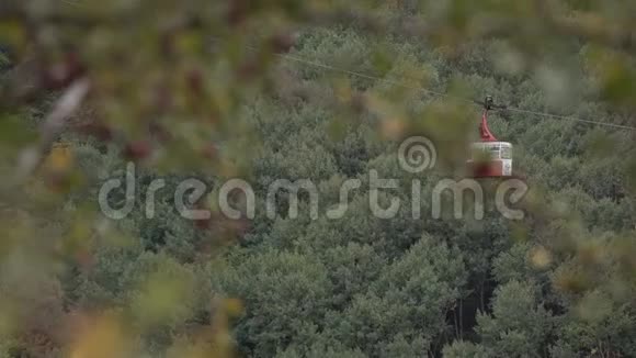 从山顶到下面的城市山腰青松林旅游观光视频的预览图