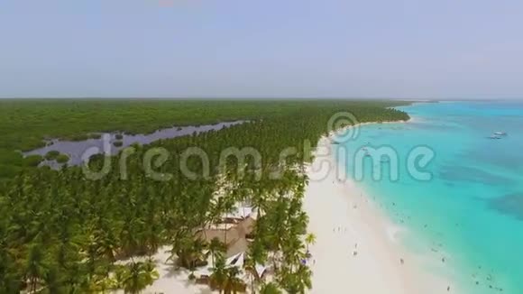 美丽的岛屿有白色的沙滩棕榈树和晶莹的蓝色海洋视频的预览图