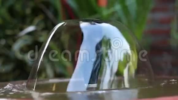 小美丽的花园圆形喷泉在亚洲巴厘岛印度尼西亚特写镜头视频的预览图
