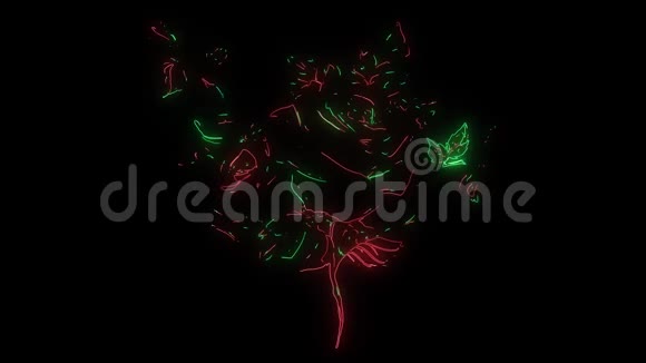 美丽的玫瑰花束和树叶激光动画视频的预览图