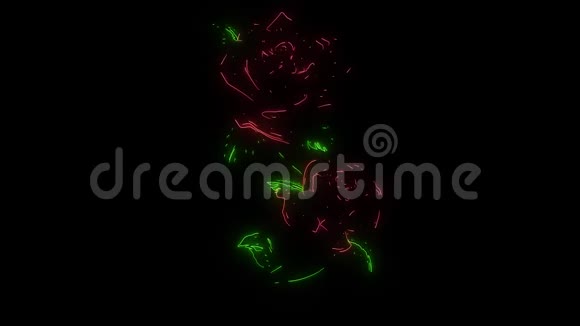 美丽的玫瑰花束和树叶激光动画视频的预览图