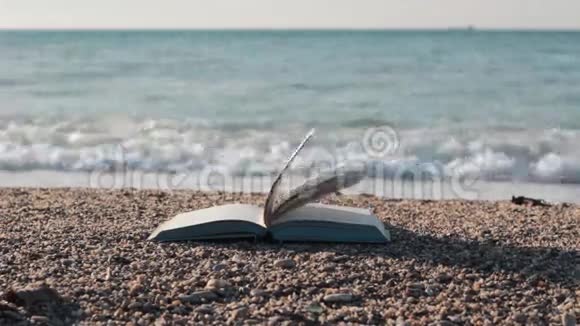 书在鹅卵石海滩背景为海景视频的预览图