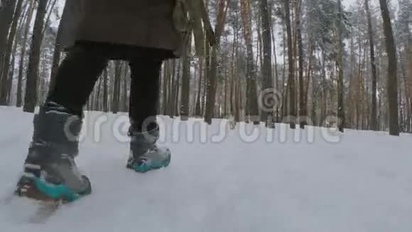 伊西在雪地里散步女孩和她的混种狗一起散步冬季森林视频的预览图