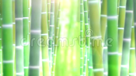 竹林设计亚洲热带植物背景自然日本竹草东方插画视频的预览图