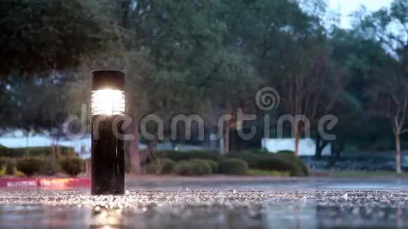 有着光亮的支柱和树木的雨水视频的预览图