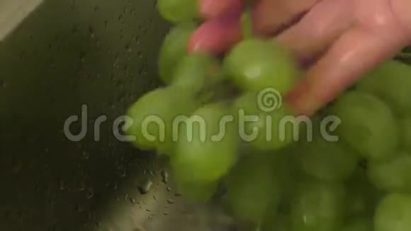 不锈钢水槽中的葡萄酒视频的预览图