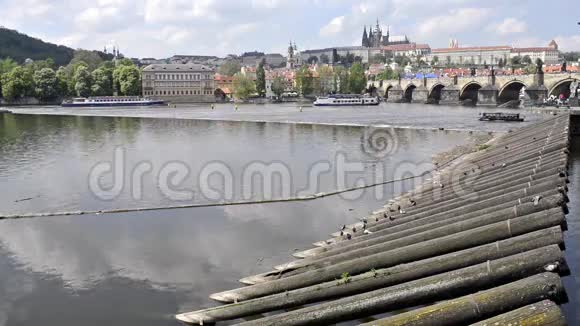 下午布拉格城堡背景下的查尔斯桥卡鲁夫最大下的观光船在河上航行视频的预览图