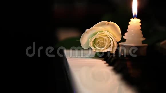 白玫瑰和蜡烛钢琴钥匙视频的预览图