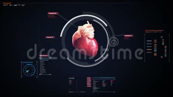 扫描心脏人类心血管系统医疗技术视频的预览图
