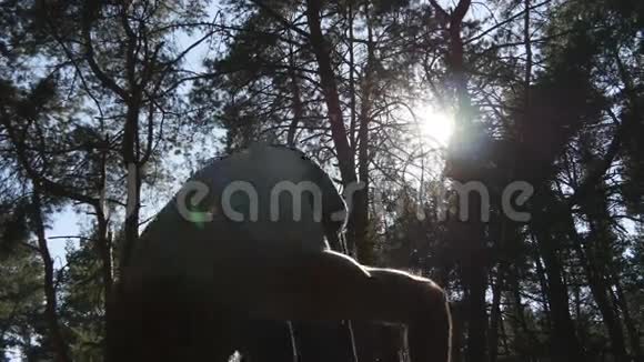 强壮的肌肉男在森林里做倒立肌肉男健身男在木头上做特技运动员视频的预览图