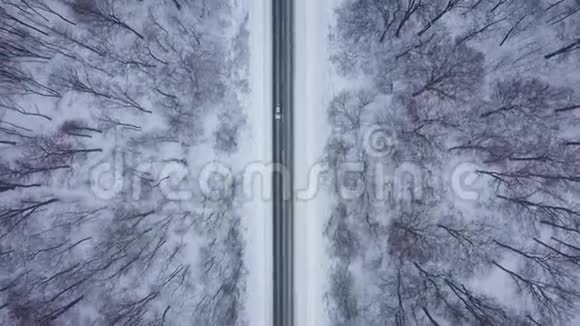 冬季森林环绕的道路上的交通俯视图视频的预览图