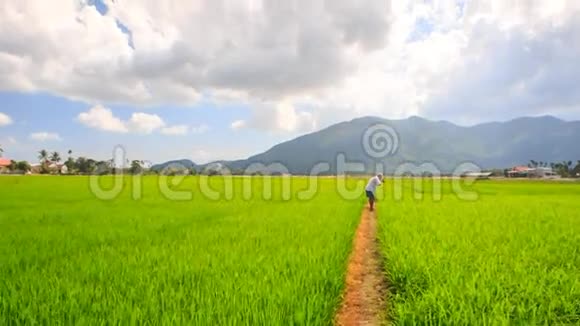 稻田中的老人照片视频的预览图