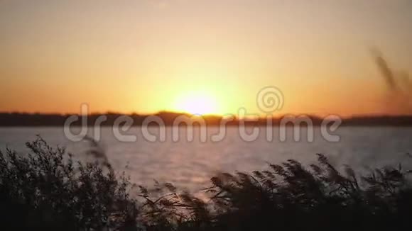 河岸日落橙色的夕阳视频的预览图