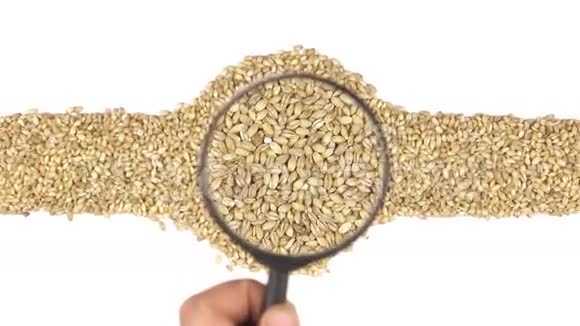 放大玻璃增加珍珠大麦颗粒视频的预览图