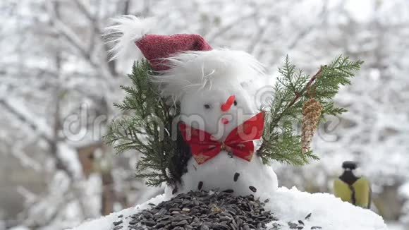 圣诞雪人和鸟儿视频的预览图