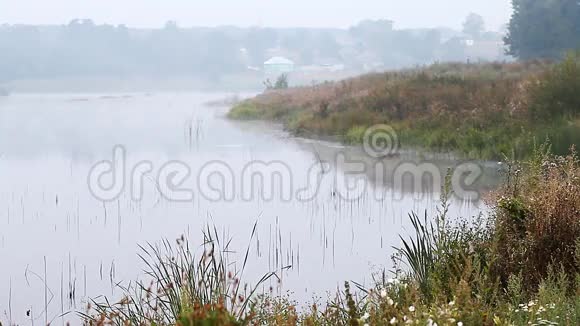 美丽的雾蒙蒙的早晨在湖上视频的预览图
