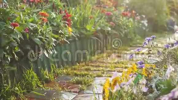 花圃中一条美丽的小路阳光照射下缓慢地在模糊的背景上产生强烈的耀斑效应视频的预览图