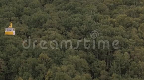从山顶到下面的城市山腰青松林旅游观光视频的预览图