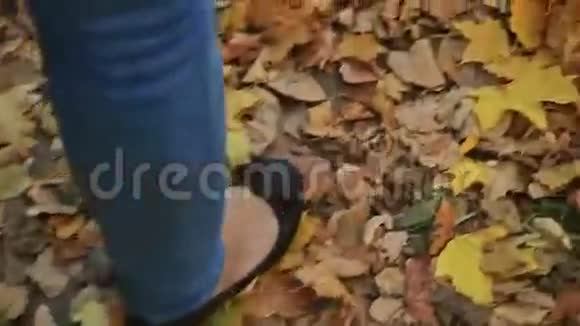 秋天走过乡村和小径的女人视频的预览图