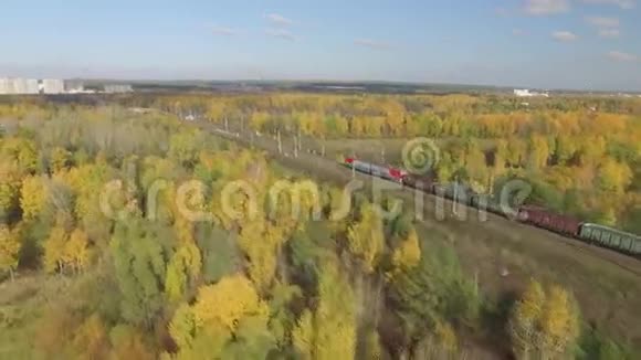 火车穿过地平线上的秋天森林你可以看到这座城市视频的预览图