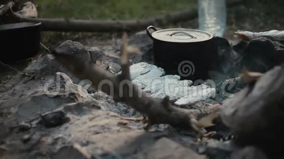 烧烤时烤鱼营地生活旅行视频的预览图
