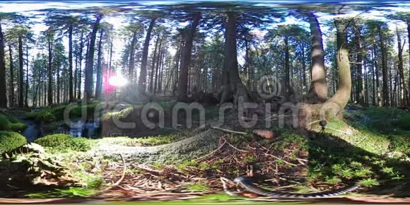 360虚拟现实山径球形视野中的自然视频的预览图