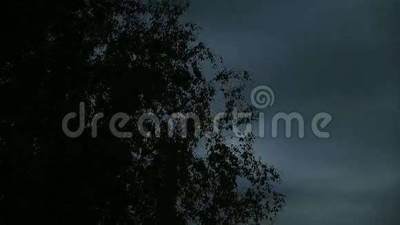 摇曳的树木剪影视频的预览图