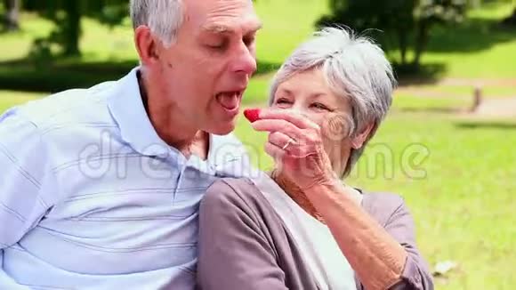 一位在公园给丈夫喂草莓的老妇人视频的预览图
