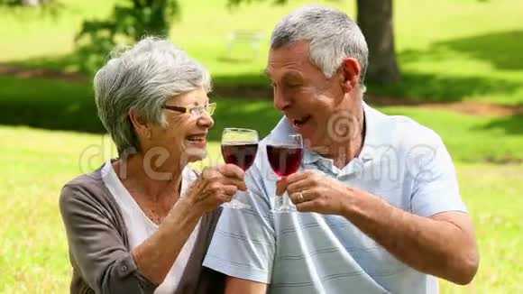 多情的老夫妇在公园里喝红酒视频的预览图