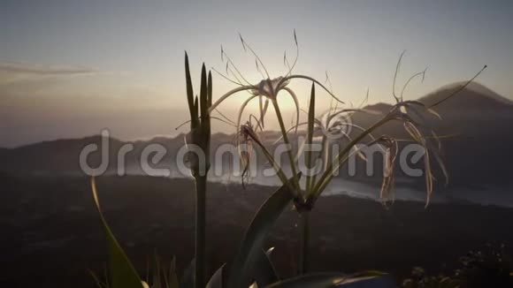 从火山顶看到美丽的景色视频的预览图