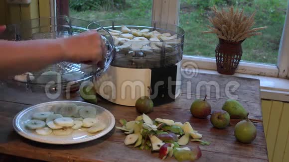女用手把切好的梨放在水果烘干机里特写镜头4K视频的预览图